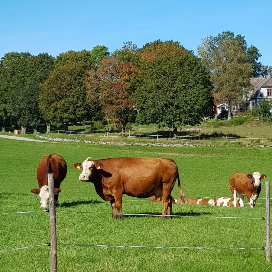 1800-tals Torp I Landsbygd Naera Allt Värnamo